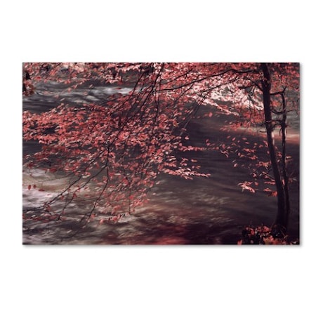 Philippe Sainte-Laudy 'Autumn Serenade' Canvas Art,30x47